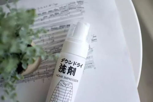 日本羽絨服干洗劑 輕松一噴，污漬瞬間消失，干洗新革命